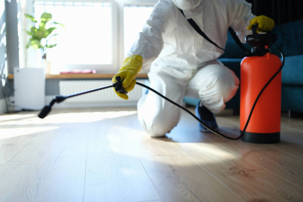 Reliable Blood Cleanup contractor in Mount Vernon, TX by Trauma Clean Pros